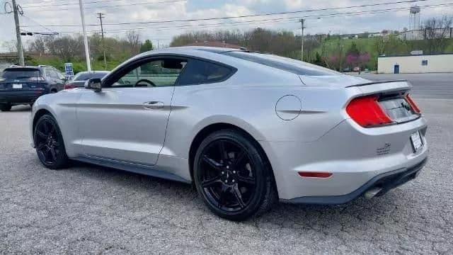 2019 ford mustang ecoboost coupe 2d in shelbyville, kentucky