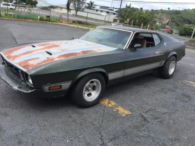 ford mustang mach1 fastback