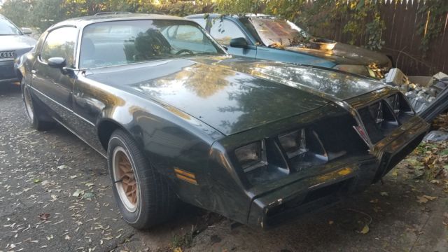 1980 pontiac firebird v8 301ci ttop project