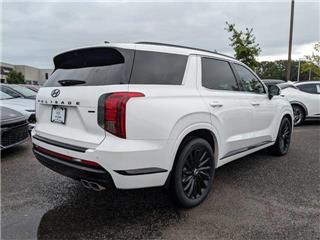 2025 Hyundai Palisade calligraphy night edition