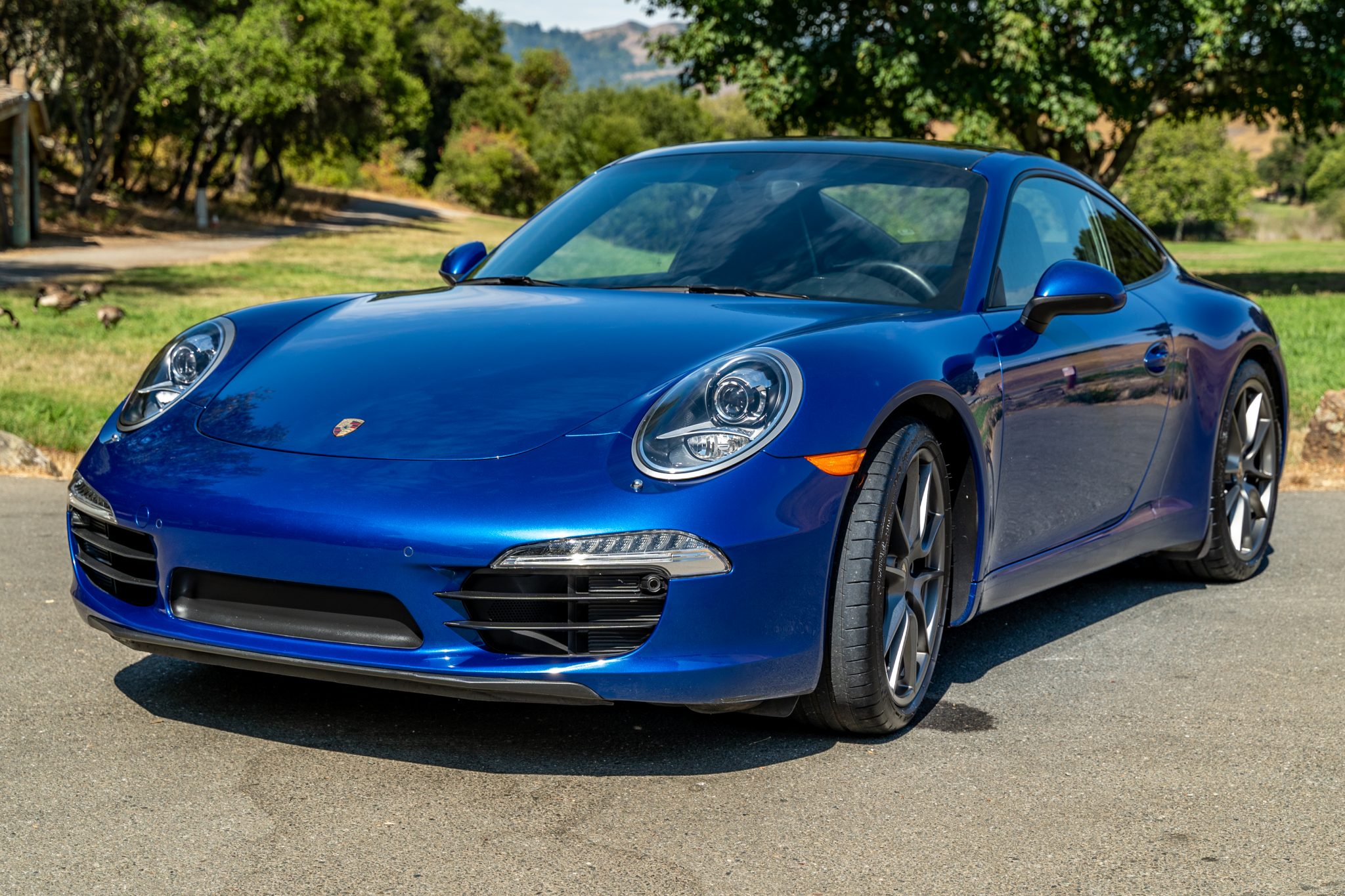 2013 porsche 911 carrera coupe