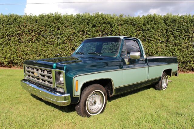 1979 chevrolet c-10 bonanza 66k original miles pickup truck 80+ hd pictures