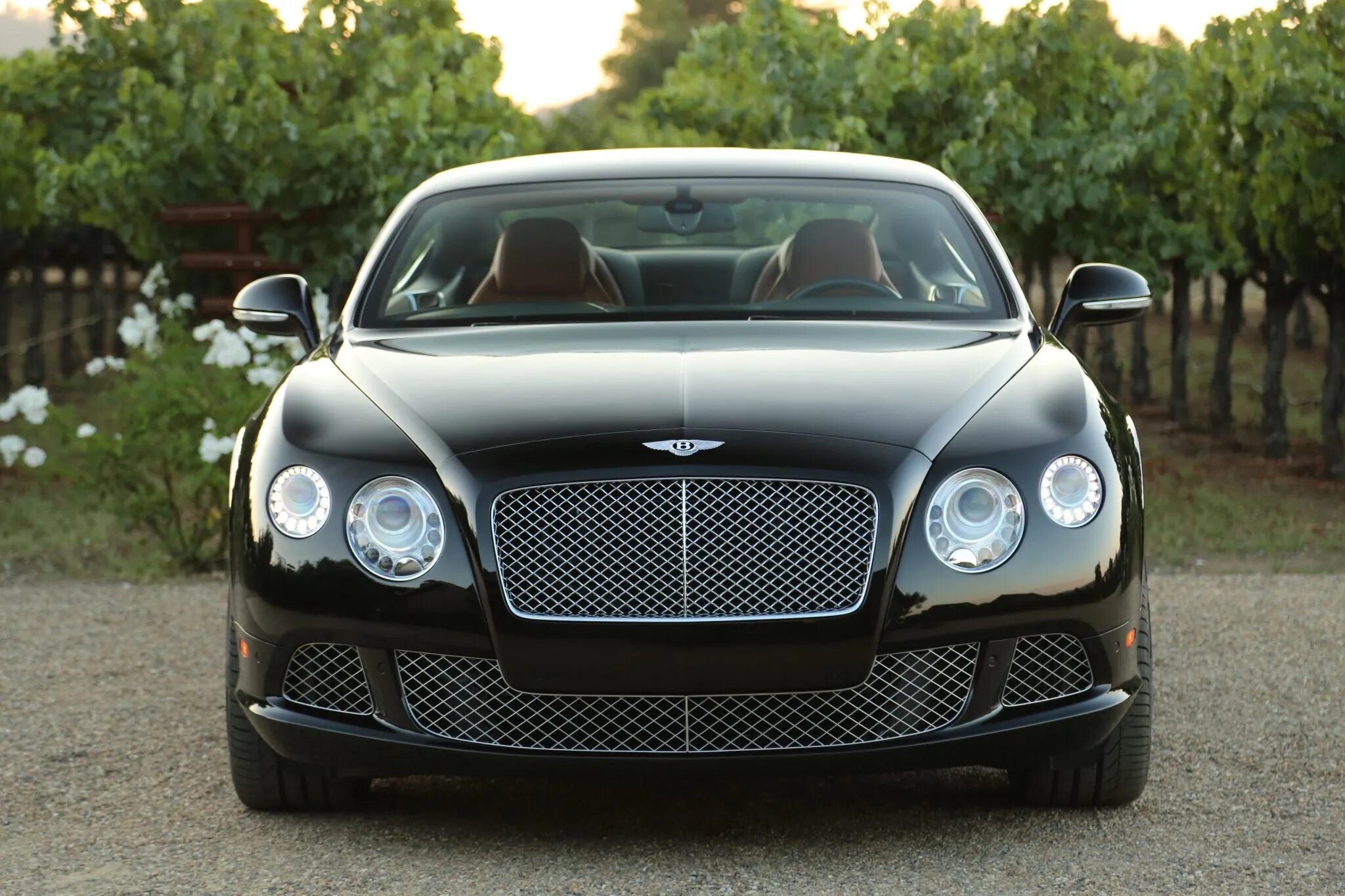 bentley continental