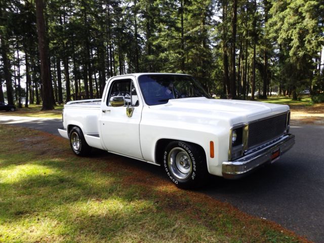 1980 chevy stepside custom truck