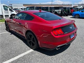 2021 Ford Mustang ecoboost