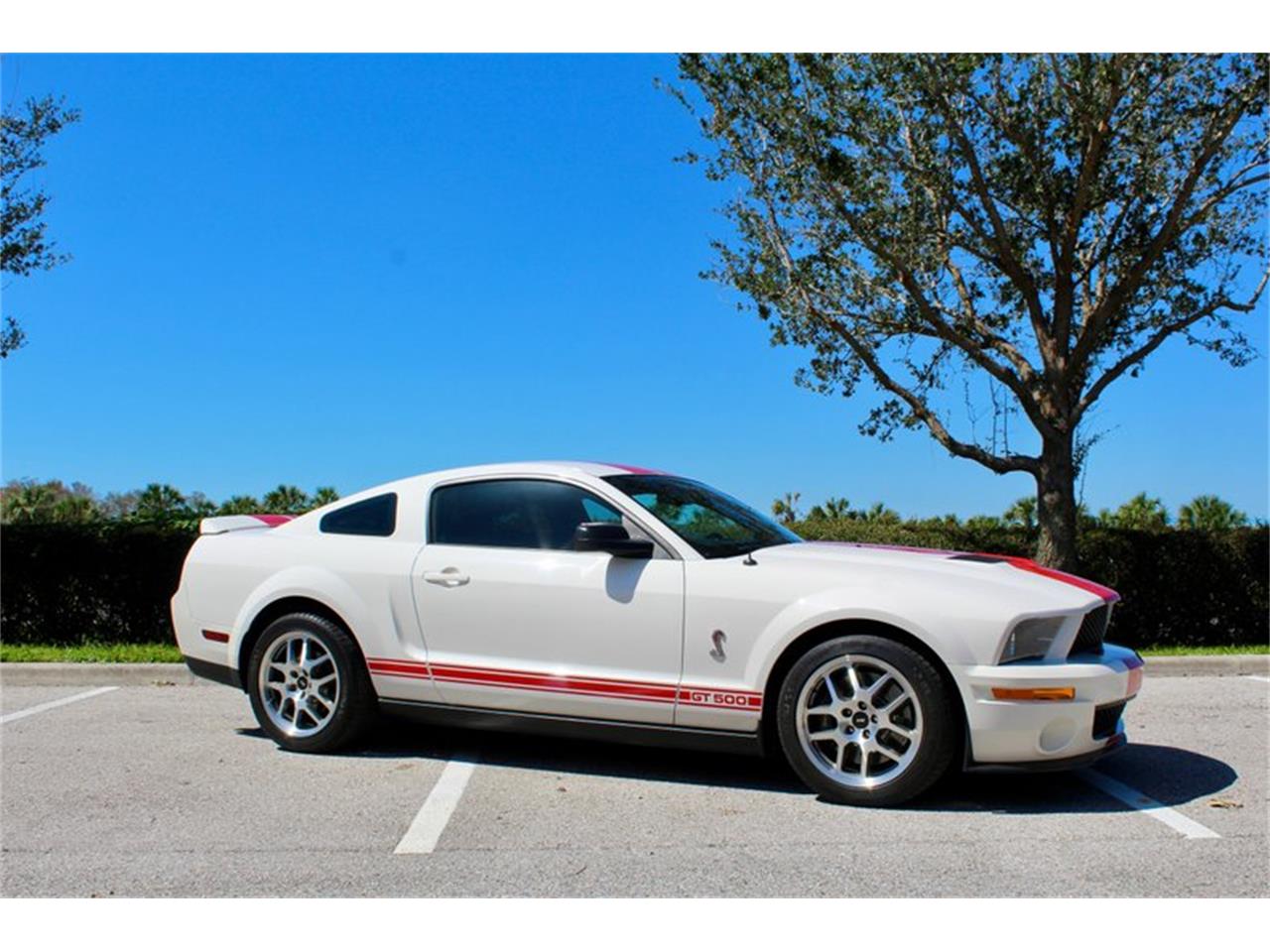 2009 ford mustang