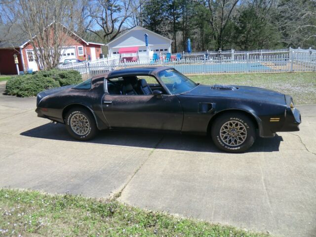 1978 trans am y82 w72 special edition