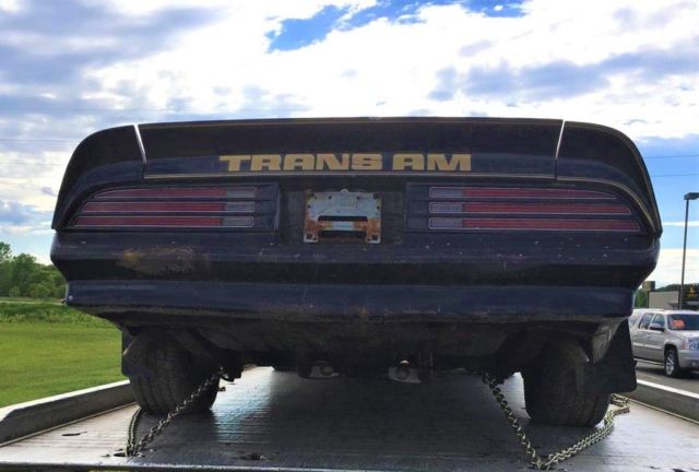 1978 pontiac trans am y82 special edition (bandit)