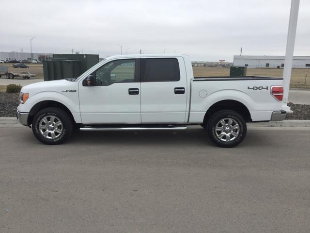 2011 ford f-150 xl 4x4 xl 4dr supercrew styleside 5.5 ft. sb for sale in jolly acres, south dakota