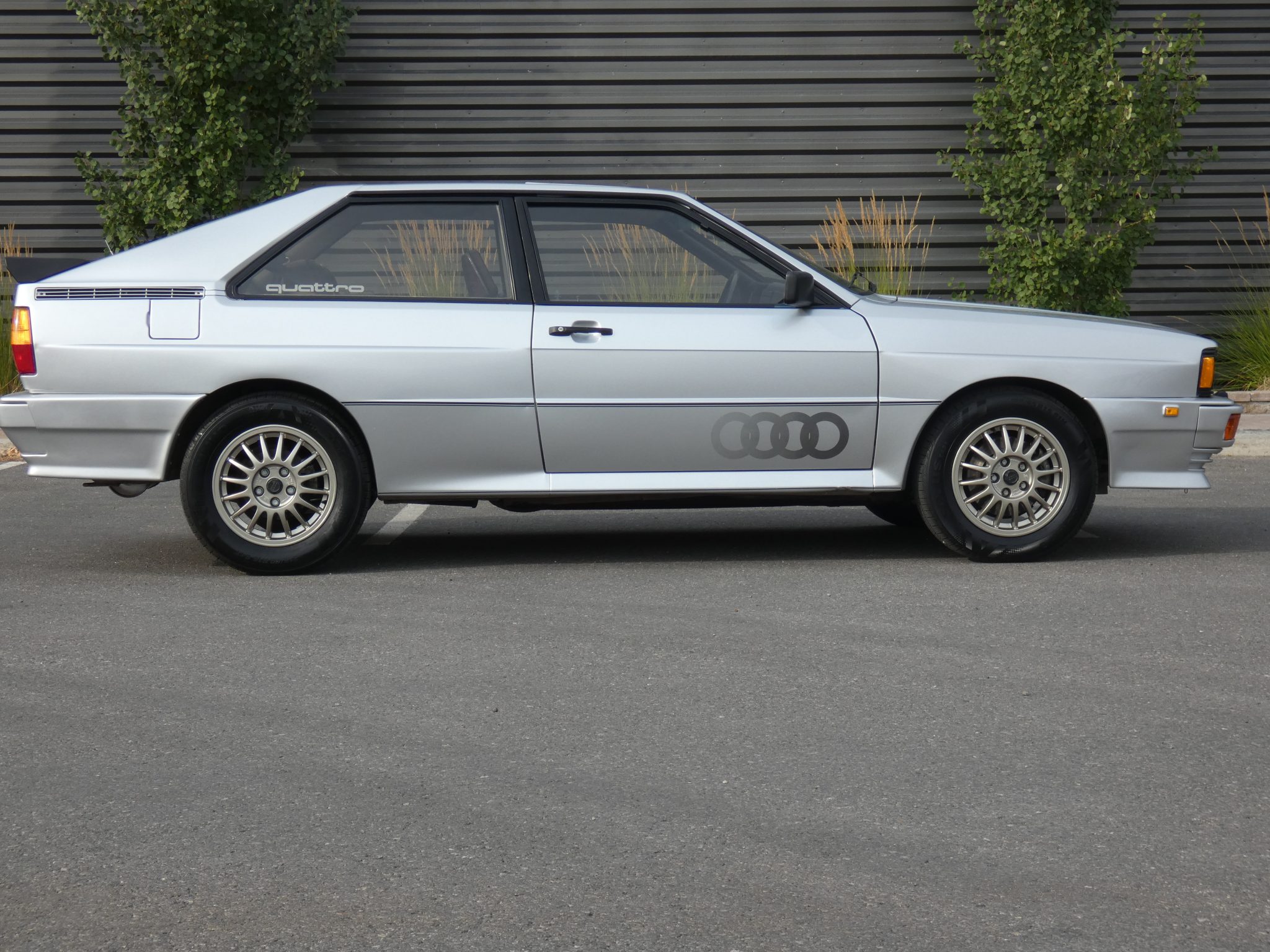 euro 1981 audi quattro