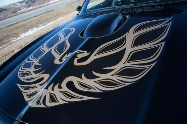 1976 trans am se special edition - y81, hard-top, 400 automatic, restored