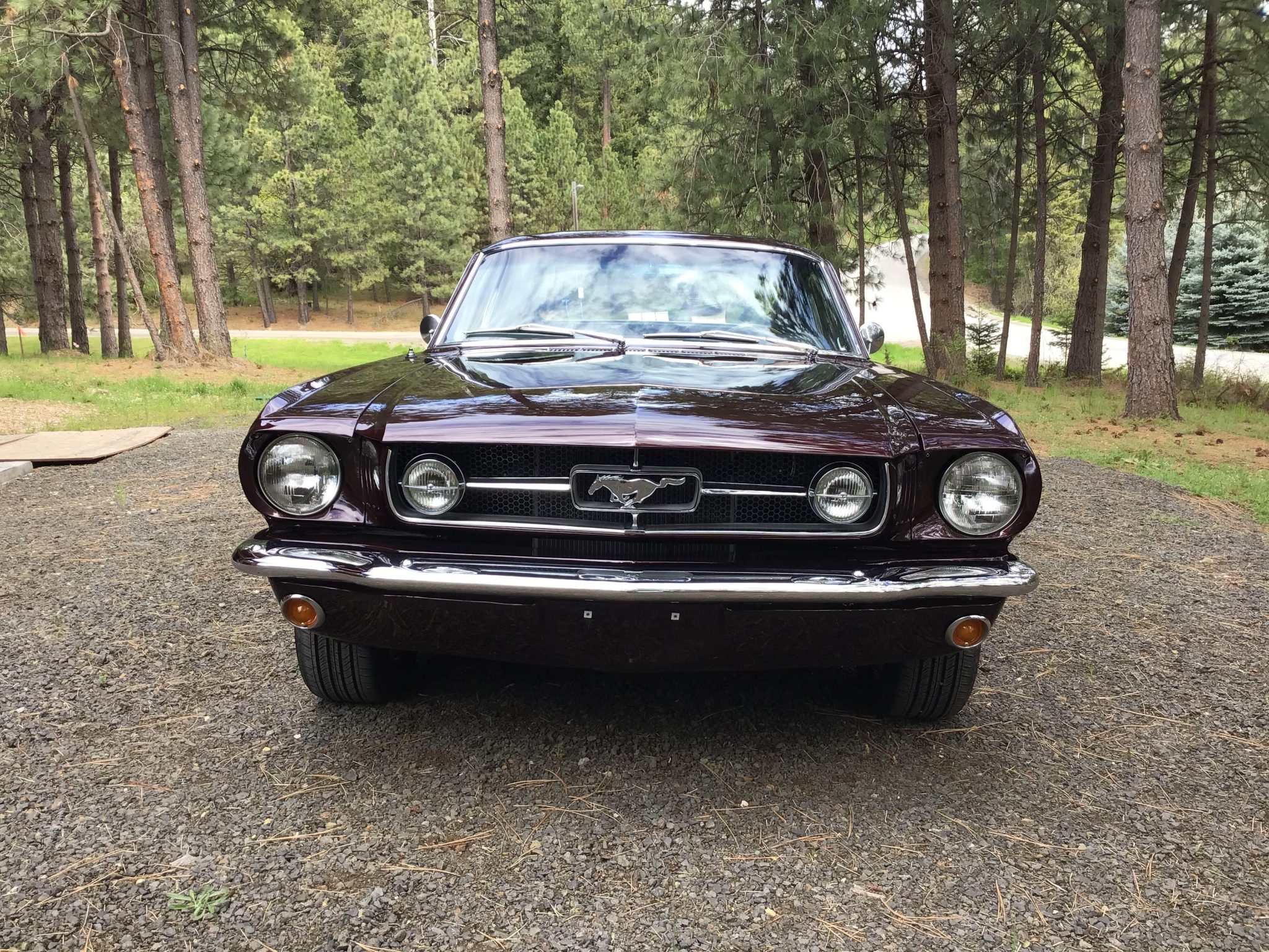 1965 ford mustang fastback 289