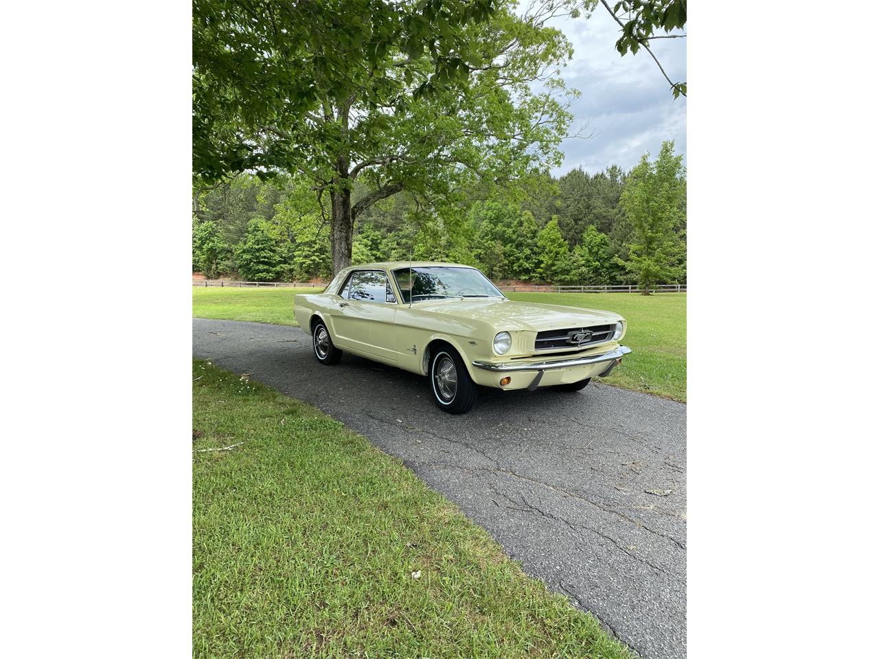 ford ford