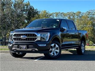 2021 Ford F-150 platinum