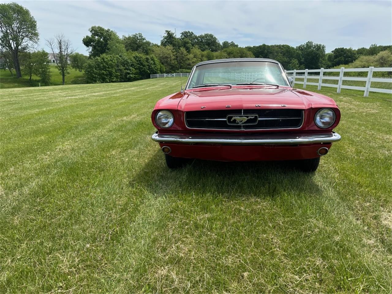 for sale: 1964 ford mustang in iowa city , iowa for sale in iowa city, ia