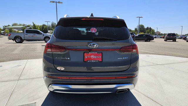 2023 hyundai santa fe calligraphy