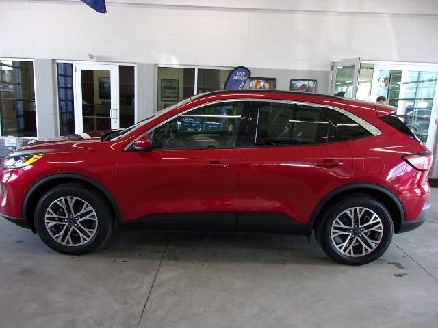 2020 ford escape sel