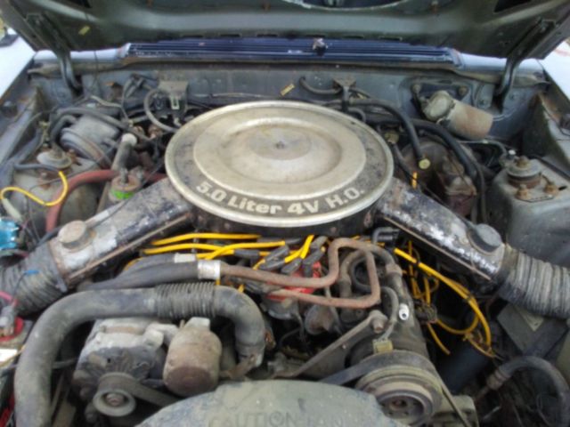 1983 ford mustang gt 5.0l 4 speed t-5