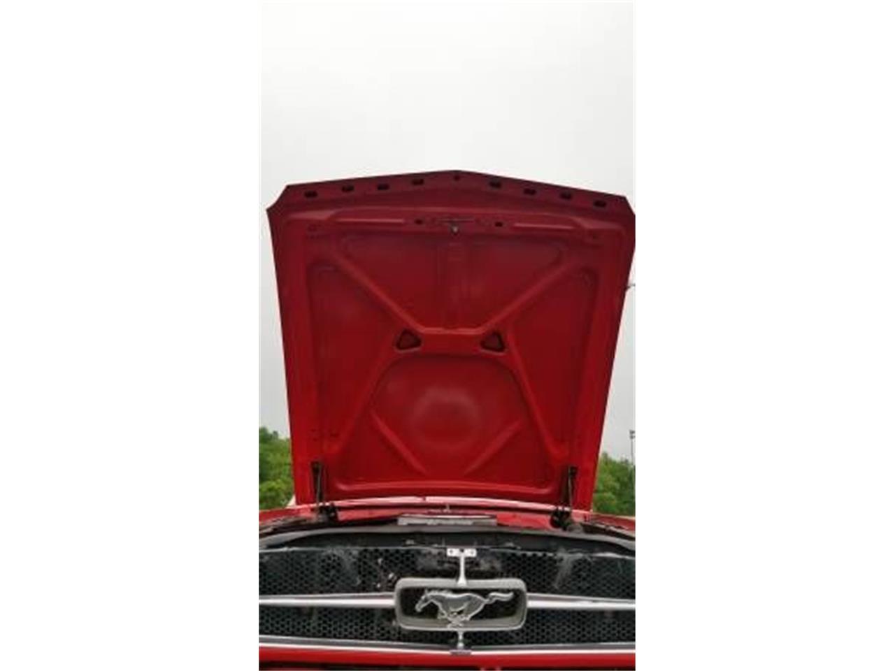 1965 ford mustang
