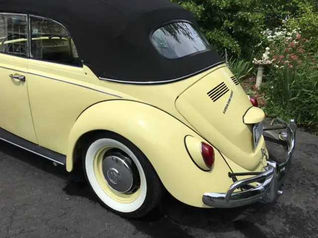 1967 karmann vw beetle convertible. fully rest. ready to show or drive anywhere!