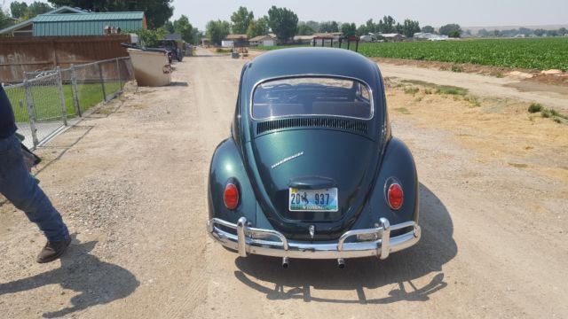 67 volkswagen beetle