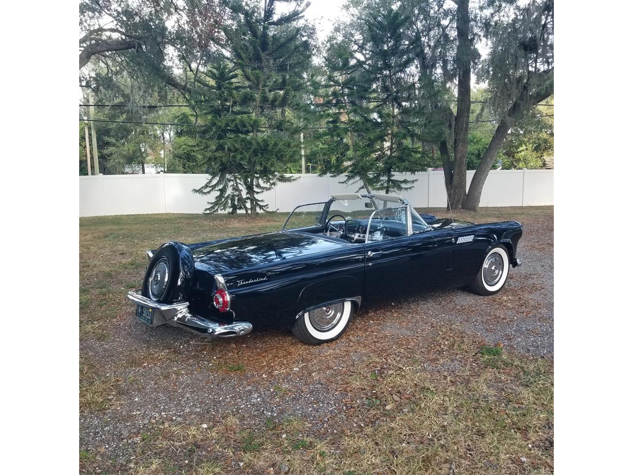 1956 ford thunderbird