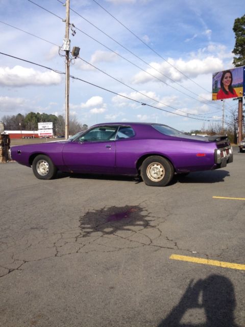 73 plum crazy purple charger
