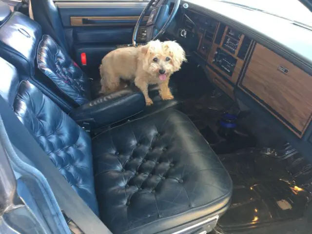 1985 cadillac seville elegante 4.1l