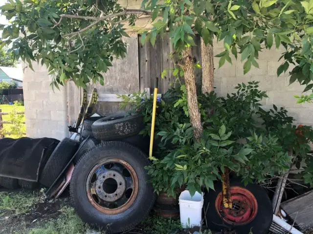 1969 torino talladega barn find 428 cobra jet nascar champion