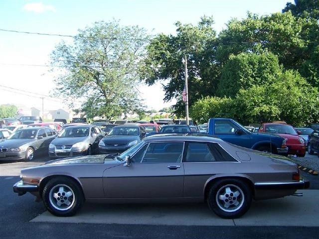 1984 jaguar xjs champa