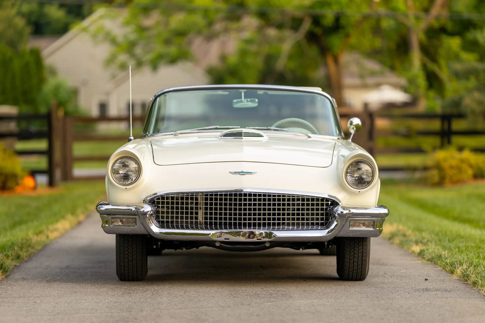 ford thunderbird