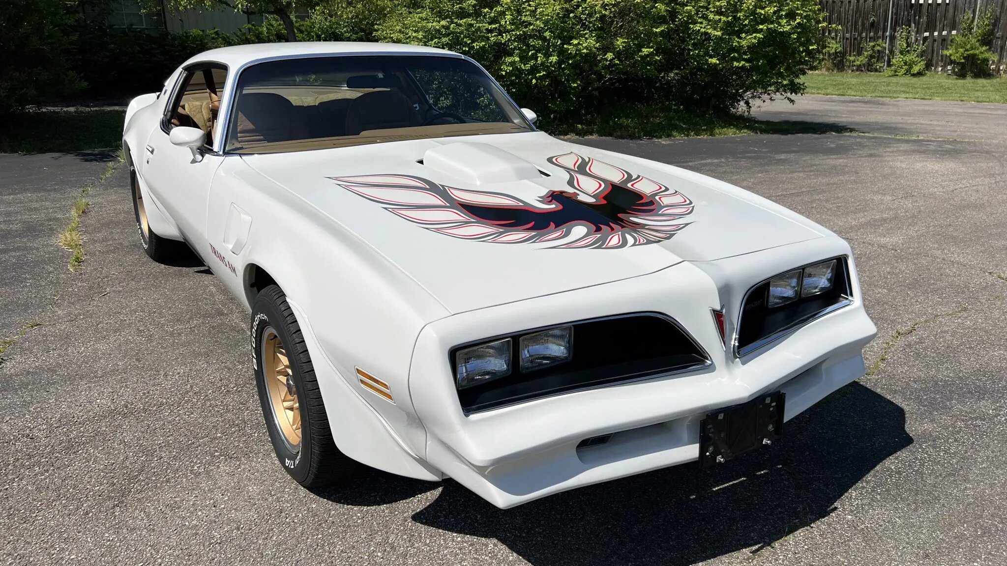 pontiac firebird trans am