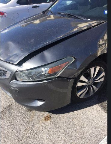 2010 honda accord for sale in texas by owner