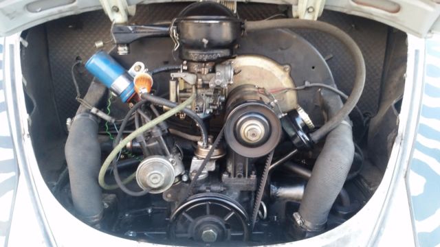 '65 vw beetle