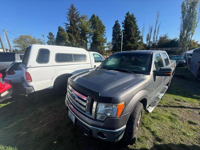 2009 ford f-150 xlt