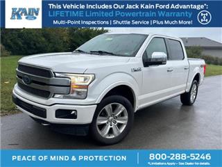 2019 Ford F-150 platinum