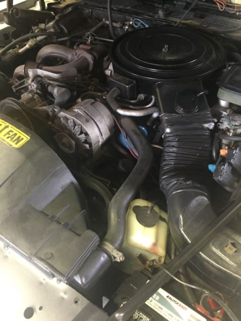 1981 turbo trans am