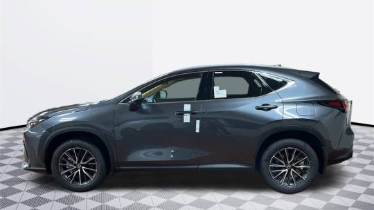2025 Lexus NX