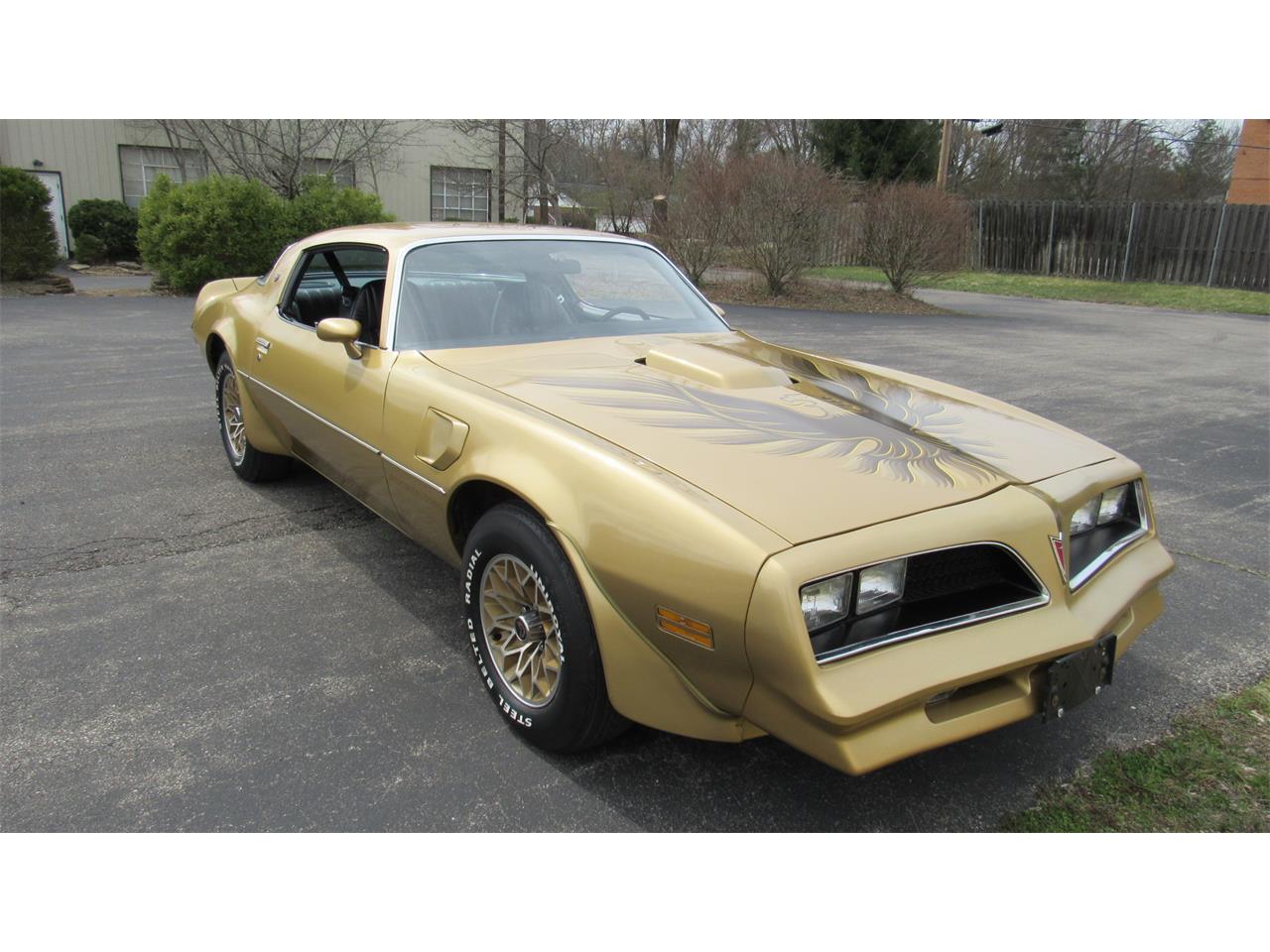 1978 pontiac firebird trans am
