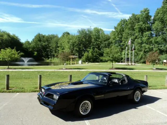 very slick pontiac trans am bandit firebird 1980 gm 73 74 75 76 77 78 79 81
