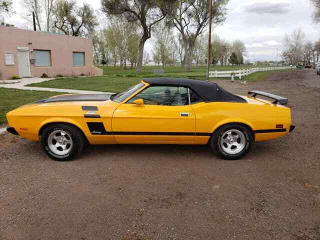 1973 mustang convertible 5.8 liter 351 cleveland
