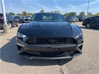 2022 Ford Mustang ecoboost