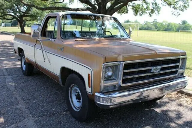 1979 chevrolet c20 bonanza
