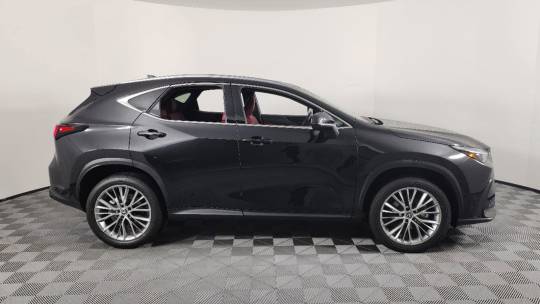 2025 Lexus NX