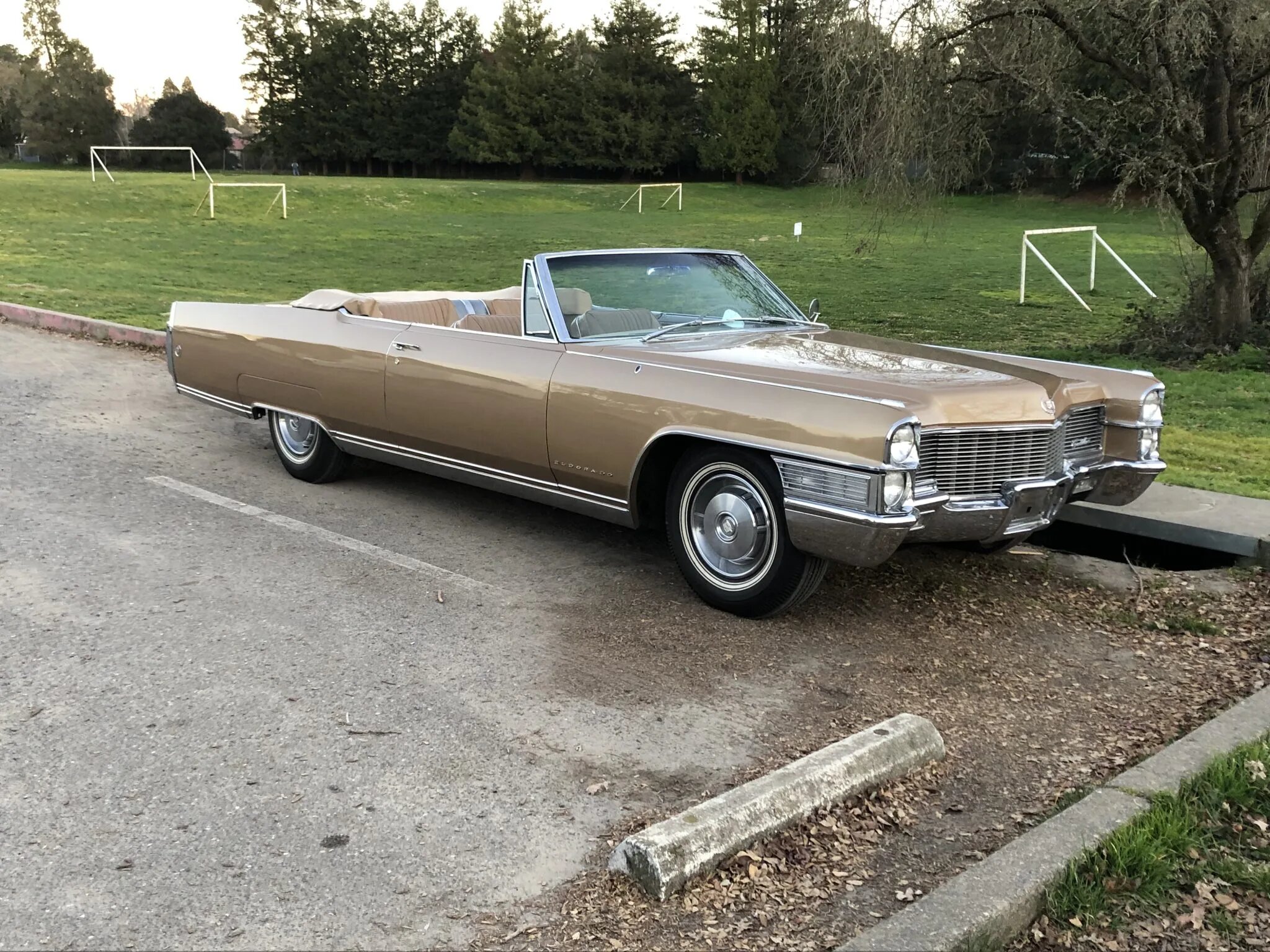 cadillac eldorado