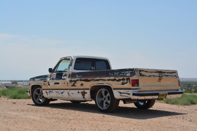 1984 chevrolet c10 "patina"