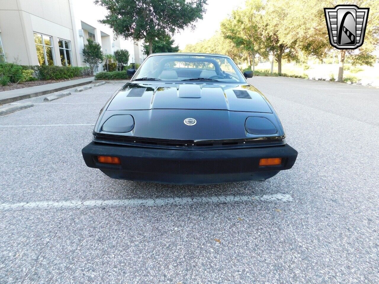1981 triumph tr7