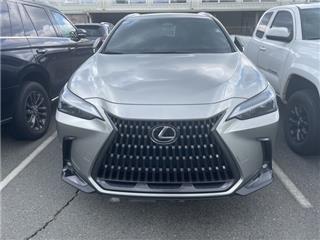 2024 Lexus NX base