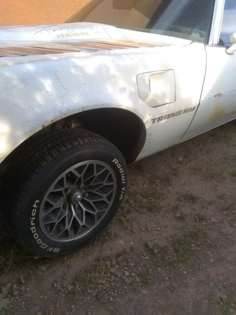 1980 turbo trans am builder