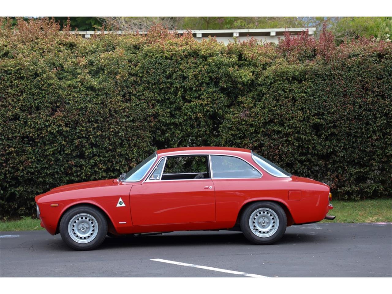 1965 alfa romeo gta